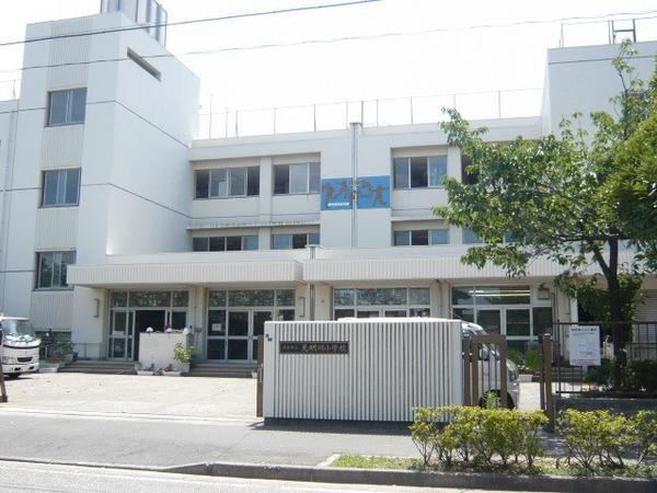 【小学校】浦安市立見明川小学校まで855ｍ