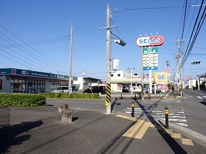 【ドラッグストア】ドラッグセイムス綾瀬南店まで995ｍ