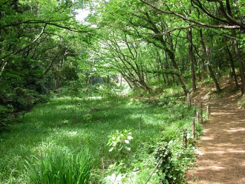 【公園】上和田野鳥の森まで2270ｍ