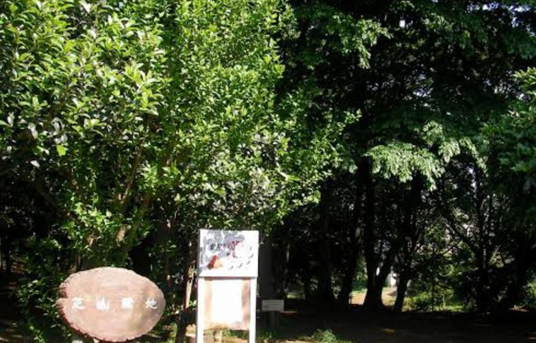 【公園】芝山東緑地まで1281ｍ