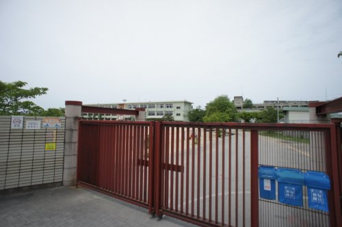 【小学校】田原本町立田原本小学校まで774ｍ
