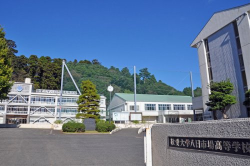 【中学校】市川市立南行徳中学校まで964ｍ
