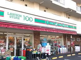 【コンビニエンスストア】ローソンストア100　LS大和中央二丁目店まで359ｍ