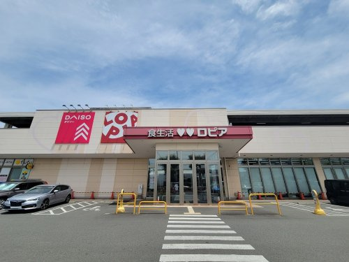 【スーパー】LOPIA(ロピア)　石川店まで572ｍ