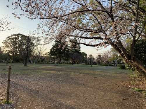 【公園】桐原公園まで483ｍ