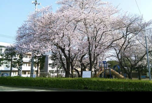【公園】稲荷久保公園まで255ｍ
