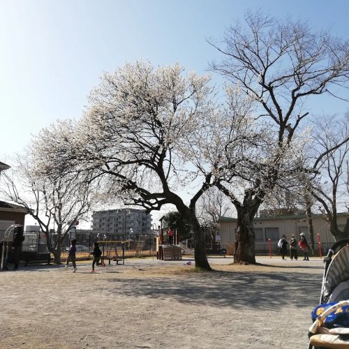 【公園】東一公園まで425ｍ