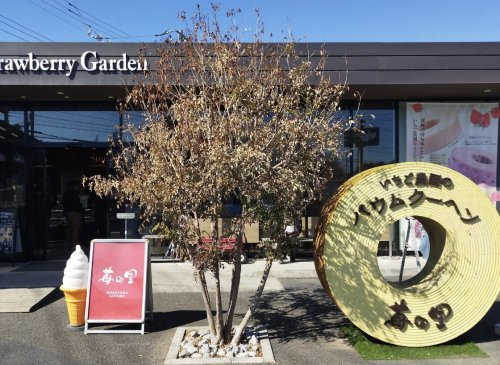 【スイーツ】苺の里　Strawberry　Gardenまで363ｍ