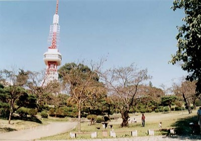 【公園】八幡山公園まで2353ｍ