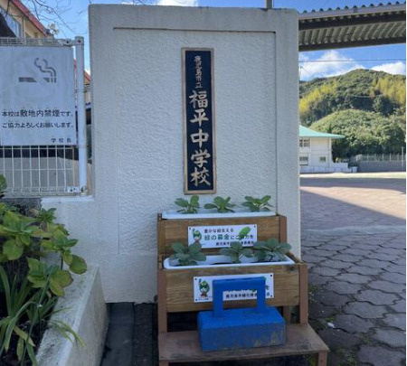 【中学校】福平中学校まで1577ｍ