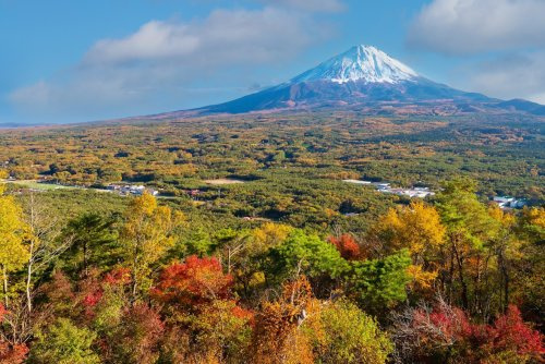【その他】紅葉台展望台まで3565ｍ