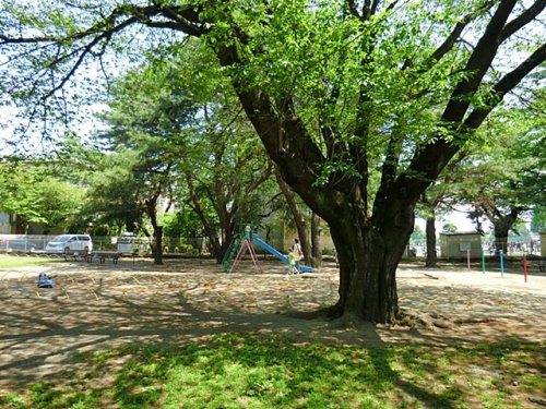 【公園】雷塚公園野球場まで686ｍ