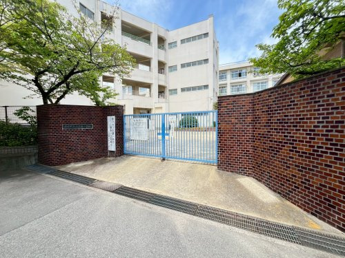 【小学校】尼崎市立立花南小学校まで437ｍ