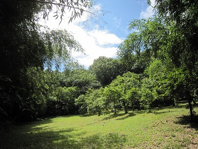 【公園】観音寺森緑地まで921ｍ