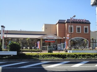 【スーパー】ピーコックストア　玉川上水店まで1520ｍ