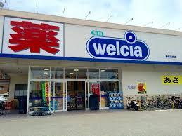 【ドラッグストア】ウエルシア静岡羽鳥店まで523ｍ