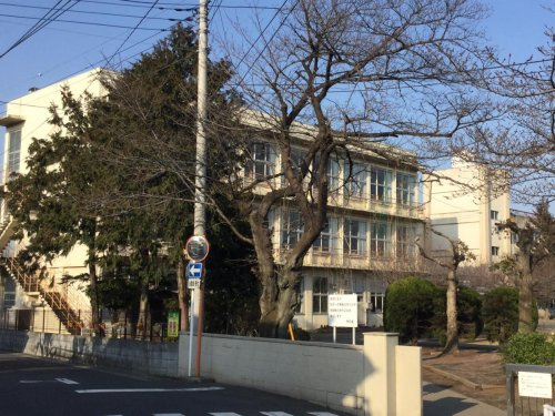 【小学校】石原小学校まで478ｍ