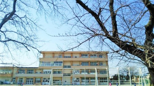 【小学校】高崎市立中川小学校 まで1463ｍ