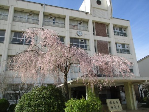 【小学校】奈良市立青和小学校まで400ｍ
