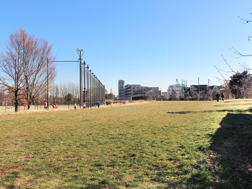 【公園】赤羽自然観察公園まで570ｍ