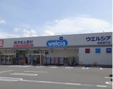 【ドラッグストア】ウェルシア　姫路網干店まで797ｍ