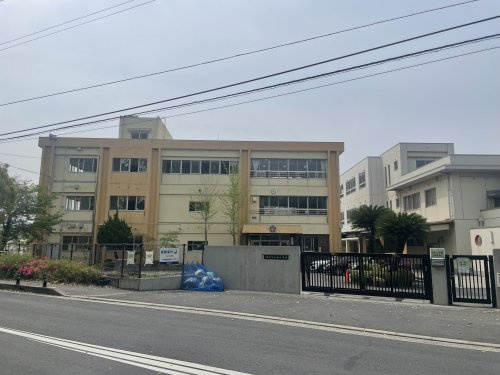 【小学校】三田小学校まで599ｍ