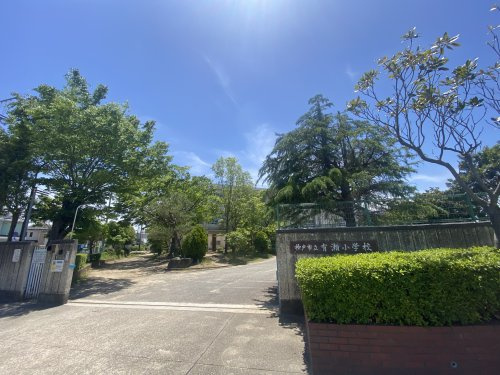 【小学校】神戸市立有瀬小学校まで250ｍ