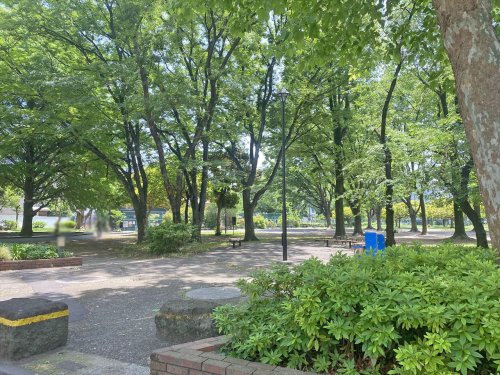 【公園】青山公園まで383ｍ