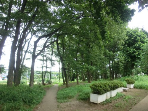 【その他】野寺緑地まで824ｍ