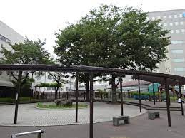 【公園】船森公園まで224ｍ