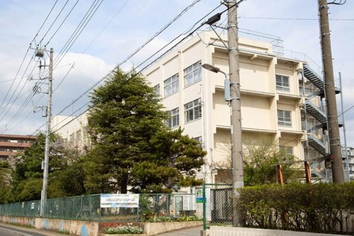 【小学校】大洲小学校まで499ｍ