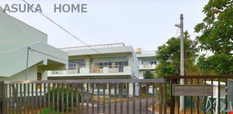 【小学校】横浜市立新田小学校まで1154ｍ