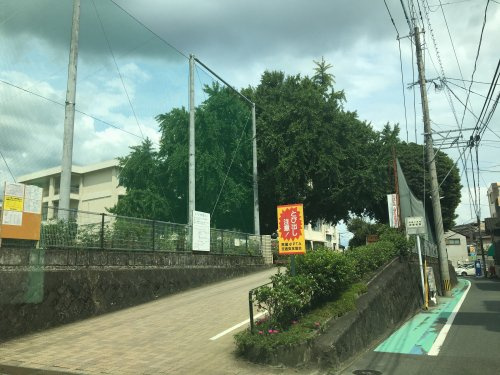 【小学校】熊本市立黒髪小学校まで477ｍ