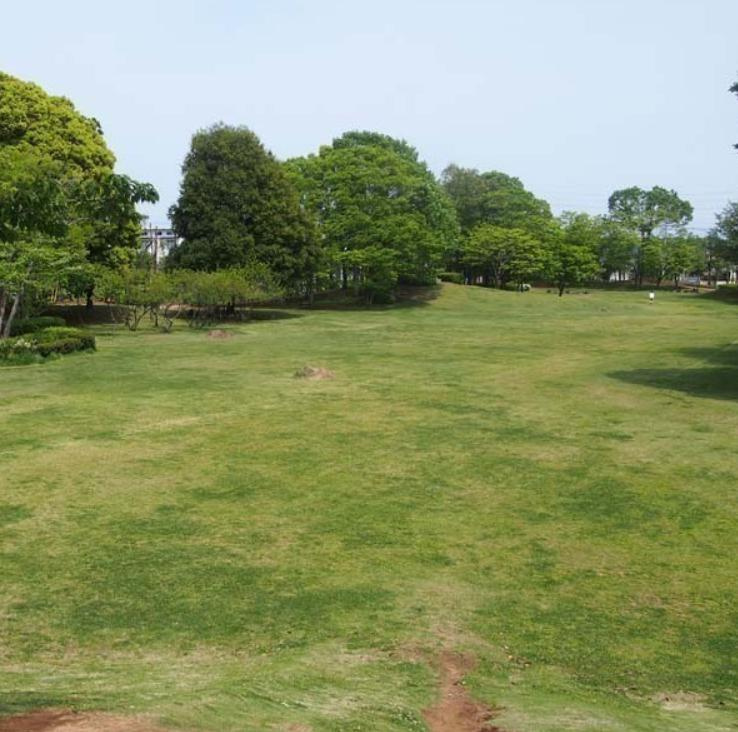 【公園】双葉台公園まで704ｍ