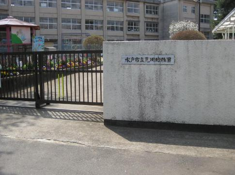 【幼稚園】見川幼稚園まで1316ｍ