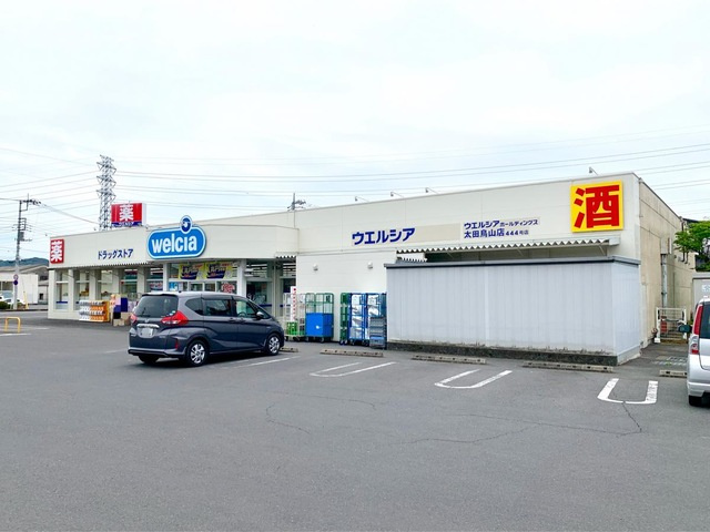 【ドラッグストア】ウエルシア太田鳥山店 まで800ｍ