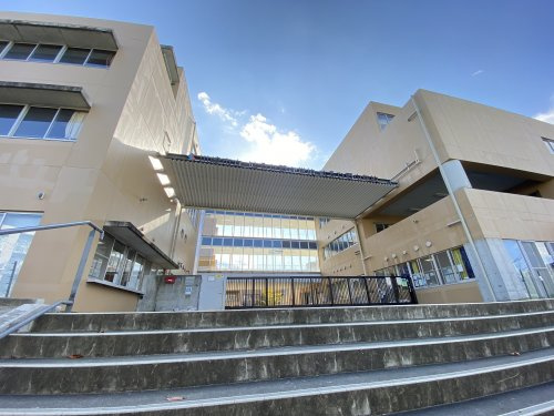 【小学校】川崎市立はるひ野小学校まで275ｍ