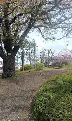 【公園】青空公園まで158ｍ