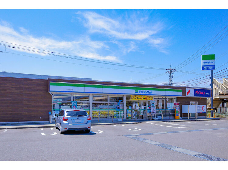 【コンビニエンスストア】ファミリーマート　小松平面店まで730ｍ