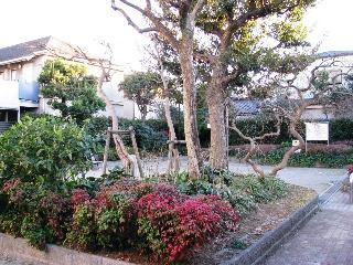 【公園】五本木二丁目街かど公園まで518ｍ