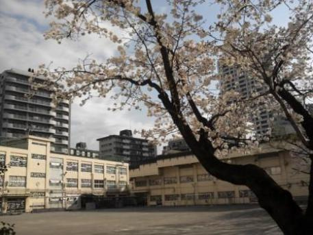 【小学校】品川区立城南第二小学校まで491ｍ