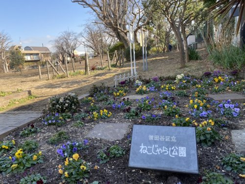 【公園】ねこじゃらし公園まで446ｍ