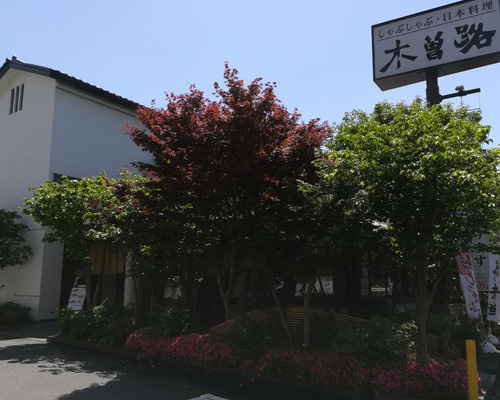 【和風料理】木曽路　碑文谷店まで146ｍ