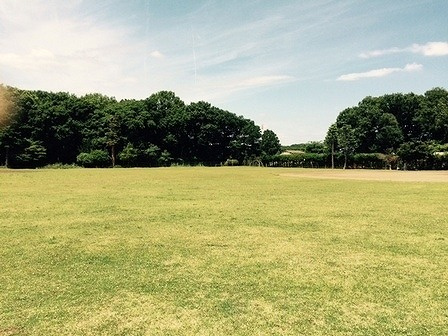 【公園】三芳町自然の森レクリエーション公園まで1250ｍ