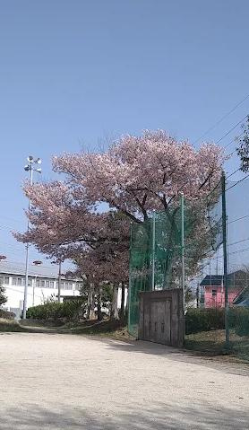 【公園】つつじ公園まで240ｍ