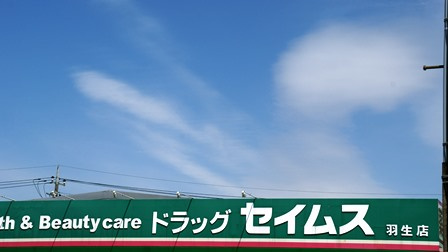 【ドラッグストア】ドラッグセイムス羽生店まで1069ｍ