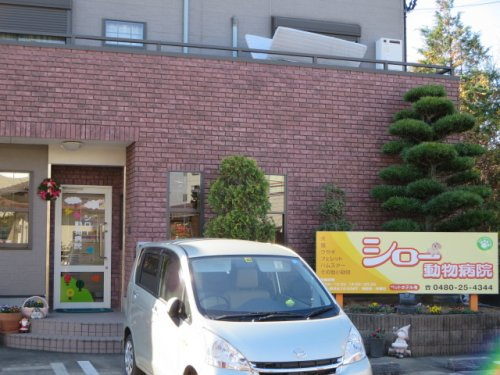 【動物病院】シロー動物病院まで287ｍ