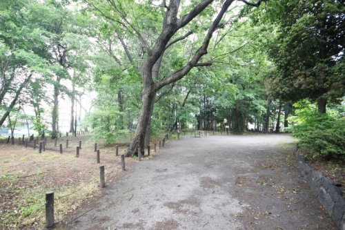 【公園】こぐれの森緑地まで851ｍ