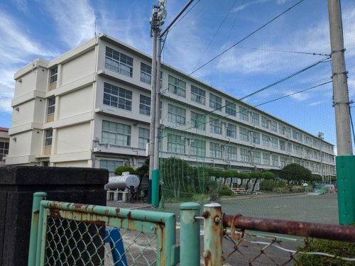 【小学校】静岡市立南部小学校まで1224ｍ