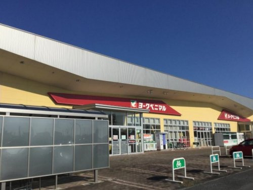 【スーパー】ヨークベニマル田彦西店まで1150ｍ